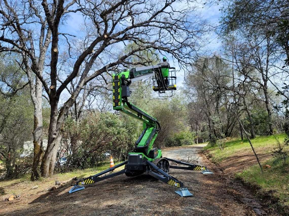 Leguan Lifts 190 arborist