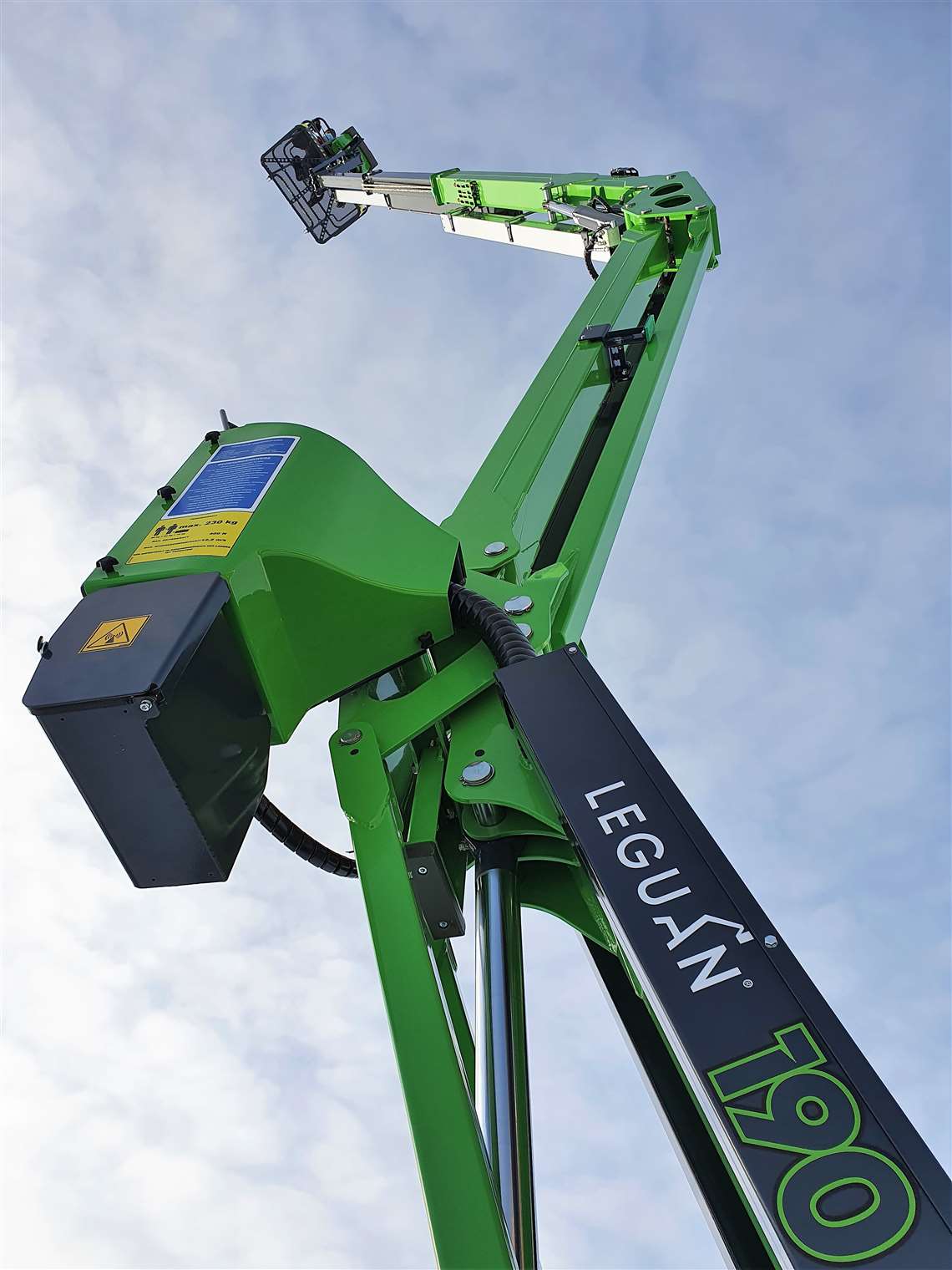 Leguan 190
