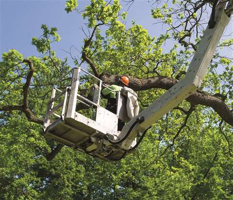 Forestry and tree care