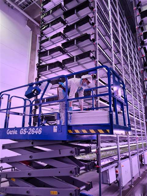 Genie GS-2646 electric scissor lift at the Nordic Harvest vertical farm in Denmark.