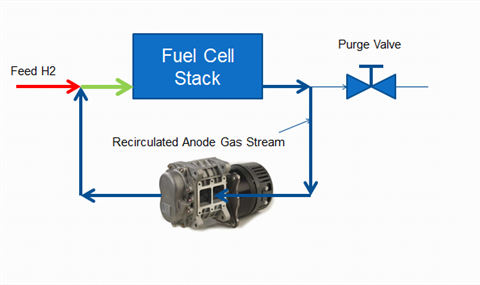 Fuel cell anode loop