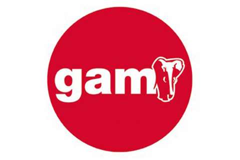 Gam