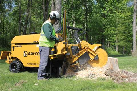 Rayco 70 x small